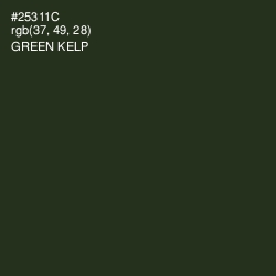 #25311C - Green Kelp Color Image